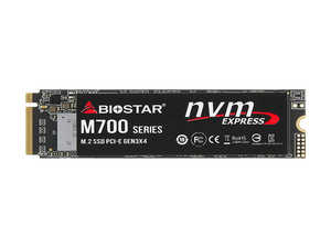حافظه SSD بایوستار مدل BIOSTAR M700 M.2 2280 128GB NVMe